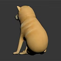 Yellow Shiba Inu Stuffed Toy Sitting On Shiny Surface With Dark Background