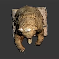 Hand Carved Standing Bear Sculpture With Realistic Details And Stable Base