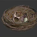 Natural Bird Nest Made Of Twigs With Spotted Eggs Inside Close Up Detail View