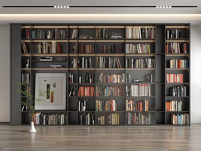 Modern Large Bookshelf Interior Design With Multiple Shelves Various Books And Decorative Plant 3d model