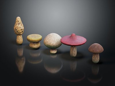 Modern Mushrooms Various Mushrooms 3d model