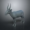 Standing Grey Antelope 3D Model With Long Curved Horns On Simple Background 3d model