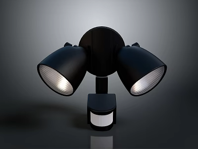 Black Dual Head Lighting Fixture Set with White Sensor and Modern Minimalist Design 3d model