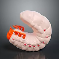 White Caterpillar With Curved Body Orange Appendages And Red Spots