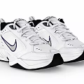 Nike White Retro Athletic Sneakers Featuring Silver Swoosh And Black Sole