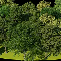 Diverse Circular Plant Combination with Lush Green Trees and Grass Surroundings