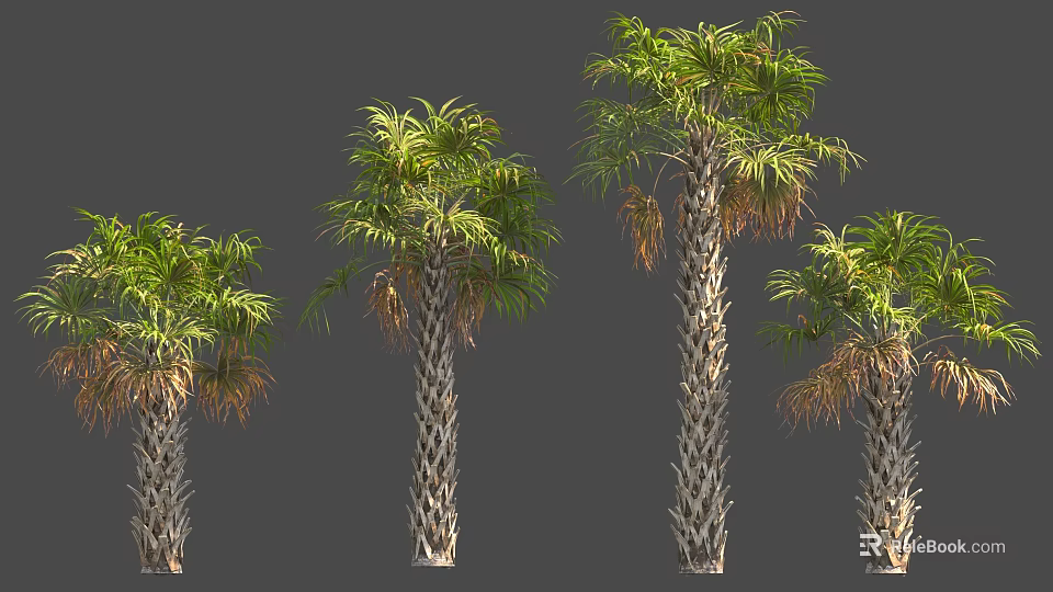 Four Palm Trees With Textured Trunks And Green Yellow Leaves 3D Render 3d model 