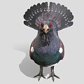 Grouse Bird With Dark Feathers Red Eye Green Chest And White Spots On Tail