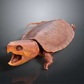 Brown Reptile Turtle With Open Mouth And Hard Shell On Gray Background 3d model