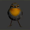 Small Brown Bird with Orange Chest Black Eyes and Pointed Beak Standing on Gray Surface