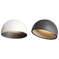 Modern Black and White Ceiling Lights with Minimalist Matte Finish for Home Interior