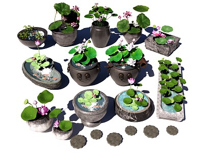 Water Tank Lotus Tank Stone Trough Sink Fish Lotus Waterscape Micro Landscape Aquatic Plants Lotus Water Lilies 3d model