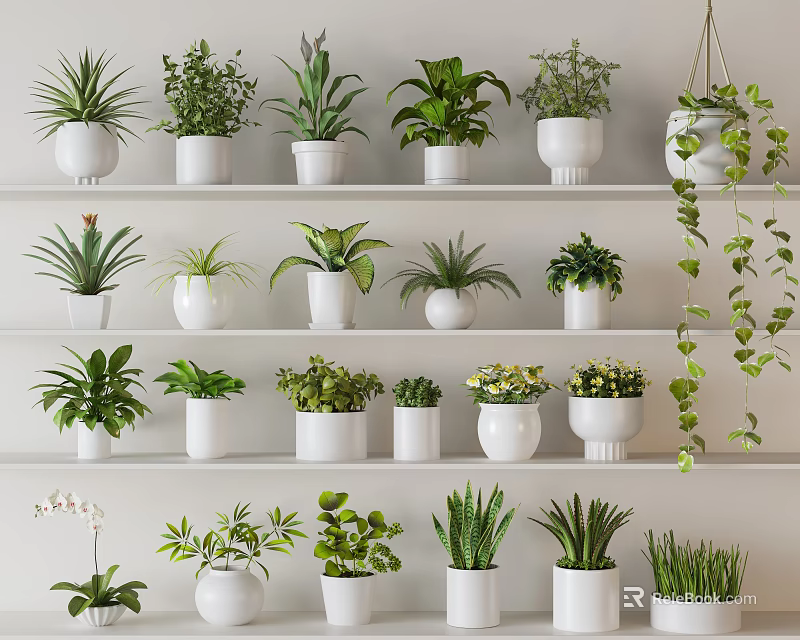 Various Green Potted Plants Arranged On White Shelves With Different Leaf Types 3d model