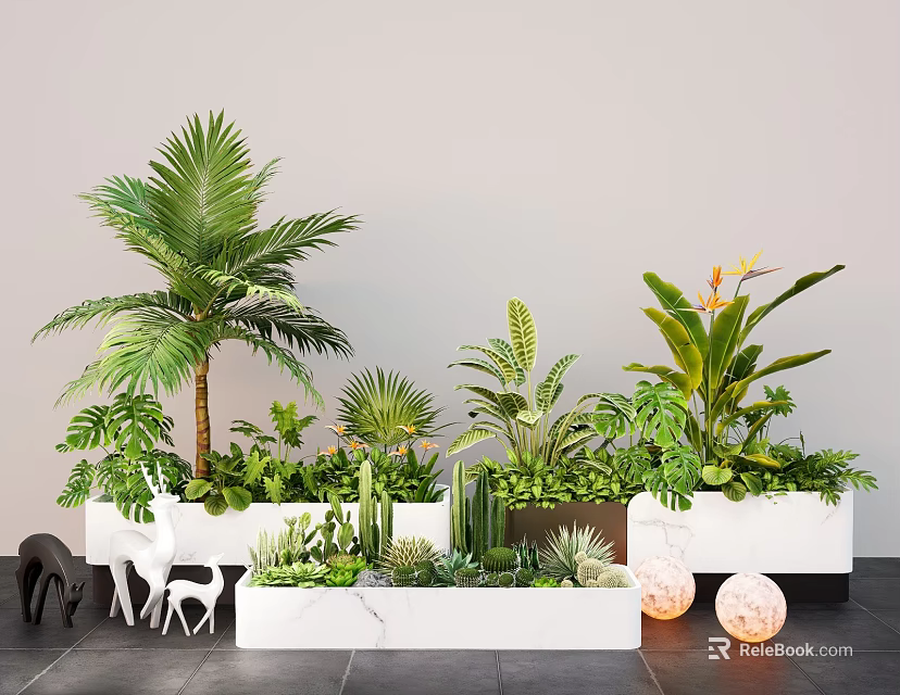 Indoor Plant Combination With Palm Monstera Cactus Succulents In White Planters And Gray Wall Background 3d model 