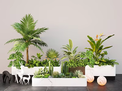 Indoor Plant Combination With Palm Monstera Cactus Succulents In White Planters And Gray Wall Background 3d model