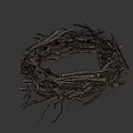 Natural Bird Nest Composed of Dry Twigs and Branches with Intricate Structure