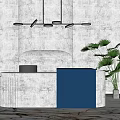 Modern Gray And Blue Reception Desk With Hanging Pendant Lights And Green Palm Plant