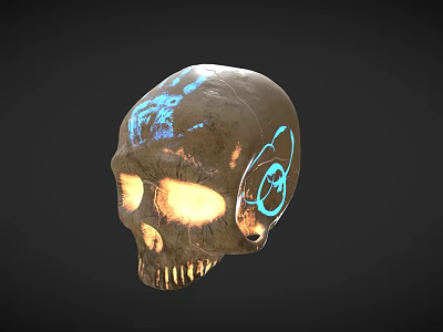 Medical Anatomical Skull Model With Blue Glowing Patterns For Education 3d model