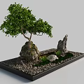 Rockery Stones Decorative Setup With Green Tree Small Pebbles And Plants In Black Tray