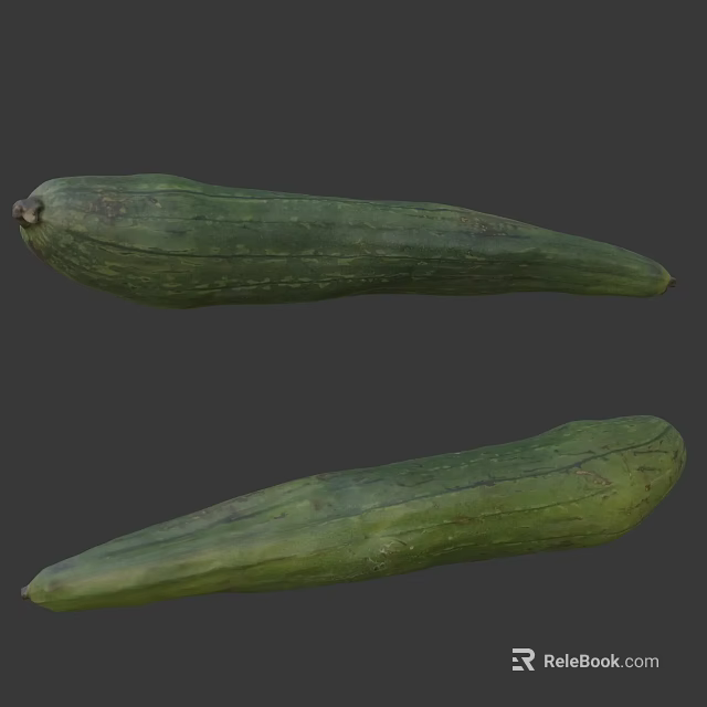 Freshly Harvested Organic Green Long Vegetables with Natural Texture and Healthy Look 3d model 