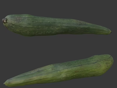 Freshly Harvested Organic Green Long Vegetables with Natural Texture and Healthy Look 3d model