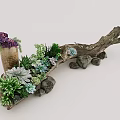 Creative Succulent Plant Arrangement with Wooden Branch Base and Decorative Stones