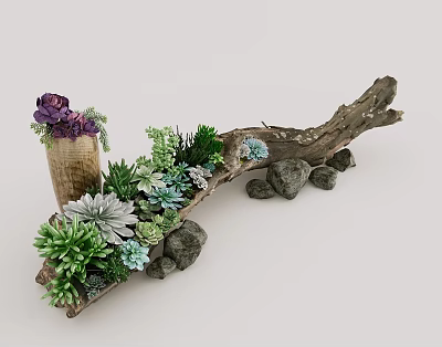 Creative Succulent Plant Arrangement with Wooden Branch Base and Decorative Stones 3d model