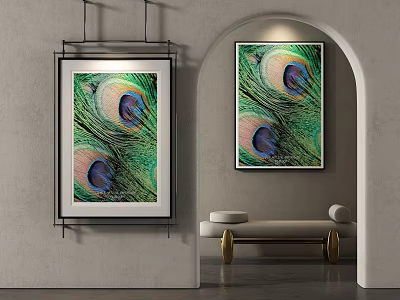 Two Abstract Peacock Feather Paintings Hanging in Modern Interior Wall Art Decor 3d model
