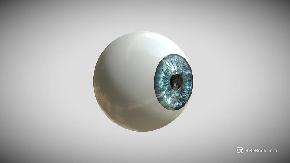 Realistic 3D Rendered White Eyeball With Blue Iris And Black Pupil 3d model 