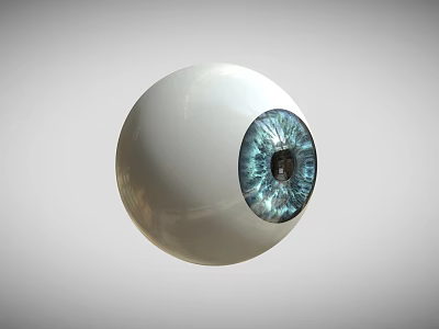Realistic 3D Rendered White Eyeball With Blue Iris And Black Pupil 3d model