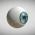 Realistic 3D Rendered White Eyeball With Blue Iris And Black Pupil