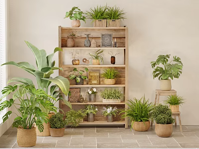 Indoor Living Room Corner Decor With Various Potted Plants On Wooden Shelf And Floor 3d model