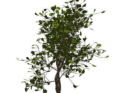 Lush Green Shrub With Dense Foliage And Brown Trunk In Natural Scene 3d model