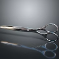 Stainless Steel Hardware Scissors With Modern Silver Design And Sharp Blades 3d model