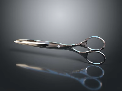 Stainless Steel Hardware Scissors With Modern Silver Design And Sharp Blades 3d model
