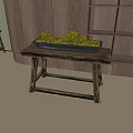 Green Moss Ball Bonsai In Black Tray On Rustic Wooden Table With Wooden Cabinet Background