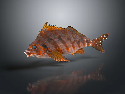 Tropical Fish Colorful Fish Ornamental Fish Aquarium Coral Fish Underwater Fish Color Fish Cartoon Fish Freshwater Fish 3d model