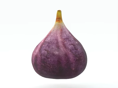 Fresh Ripe Purple Fig with Green Stem on White Background 3d model