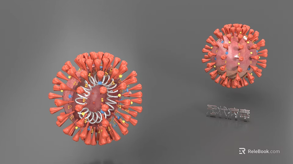 Organizational System Of Viral Structure With Protein Subunits And Capsid Components 3d model 