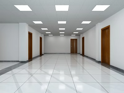 Elevator Hallway With White Walls Wooden Doors Ceiling Lights And Glossy Flooring 3d model