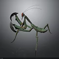 Mechanical Green Metallic Mantis Character with Red Eyes Scythe Like Forelimbs