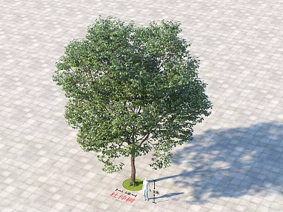 Lush Green Arbor Standing On Paved Ground With Signboard And Bench 3d model
