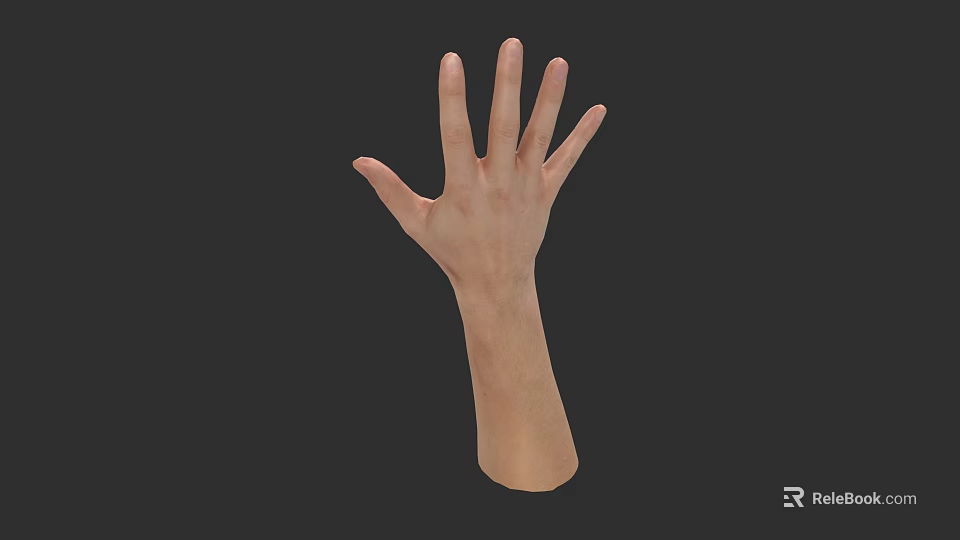 Man's Hand And Arm Anatomical Structure With Detailed Pose On Dark Background 3d model 