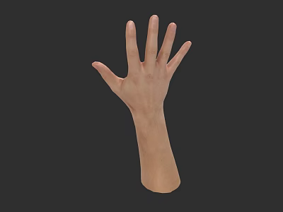 Man's Hand And Arm Anatomical Structure With Detailed Pose On Dark Background 3d model