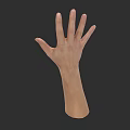 Man's Hand And Arm Anatomical Structure With Detailed Pose On Dark Background