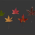 Modern Maple Leaf Red Maple Leaf 3d model