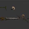 Natural Dried Tree Branches And Wooden Stems For Decorative Plant Arrangement