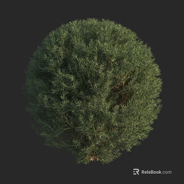 Lush Green Arbor With Round Canopy And Dense Foliage In Garden 3d model 
