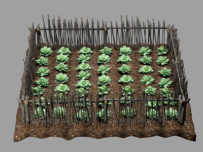Neatly Arranged Green Vegetables Thriving in Wooden Fenced Garden Bed 3d model