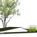 Modern Tree Pit Design With Green Grass Trees And Ornamental Grasses 3d model